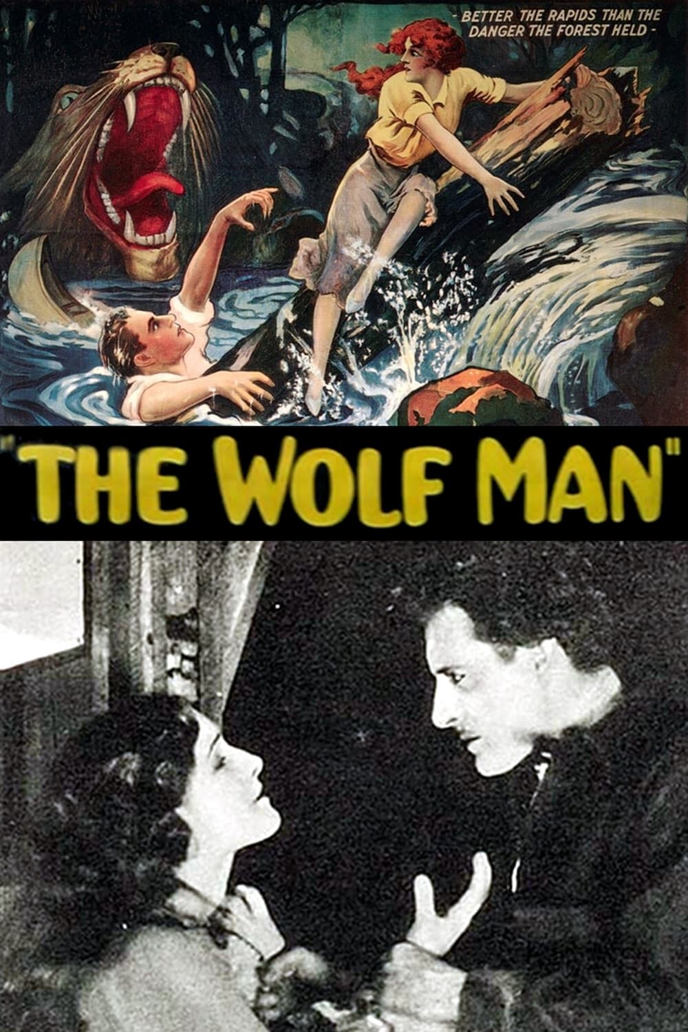 Постер The Wolf Man
